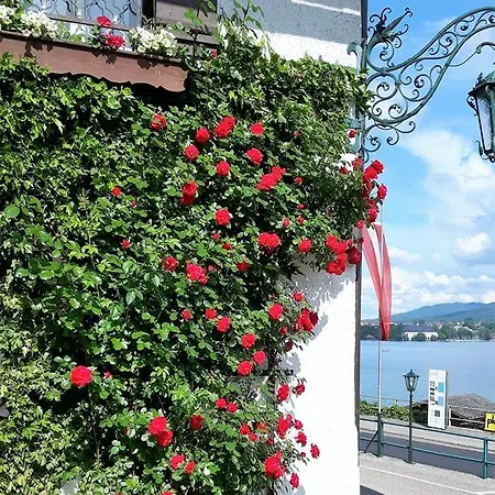 Guest house Litzlberger Keller Am Attersee Seewalchen